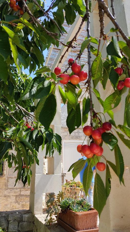 Trulli Di Zia Tata Guest House โลโกโรตอนโด ภายนอก รูปภาพ